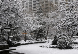 Snow Day