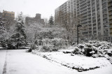 Snow Day