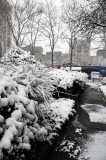 Snow Day