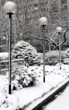 Snow Day