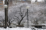 Snow Day