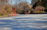 Japanese Pond and Garden