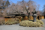 Japanese Pond and Garden