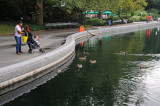 Conservatory Pond