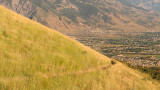 Utah Valley View from North Side