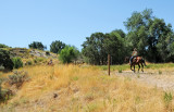 The Gully Preserve