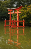 Japanese Pond & Garden
