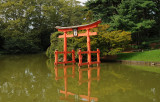 Japanese Pond & Garden