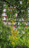 DSC_4673.JPG