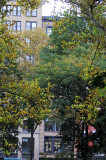 DSC_4734.JPG