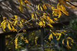 DSC_6412.JPG