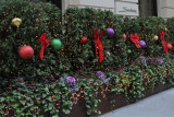 DSC_8365.JPG