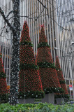 DSC_8368.JPG