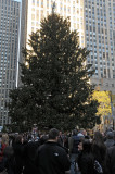 DSC_8375.JPG