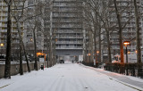 Winter 2012
