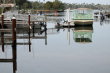 February 10, 2012 Photo Shoot - Chrystal River & Bay Boat Ride