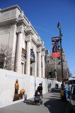 American Museum of Natural History