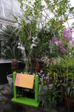 Orchid Show 2012