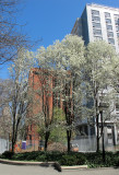 IMG_7885.JPG