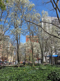 IMG_7886.JPG