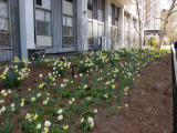 IMG_7893.JPG
