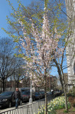 IMG_7897.JPG