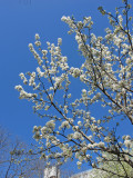 IMG_7903.JPG