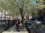 IMG_7904 copy