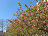 IMG_7908.JPG