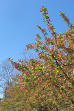 IMG_7908 copy