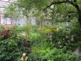 Community Garden Scheduled to be Destroyed by New York University/NY City Government