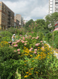 Public Gardens & Park Strip to be Destroyed by Future NYU Skyscapers