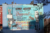 Advocates for Animals Billboard from East 11th Street