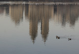 Reservoir & Central Park West Skyline Reflection