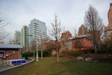 Garden View with Northeastern Skyline