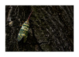 20111124-06 as Smart Object-1.jpg