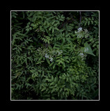 20111224-21 as Smart Object-1.jpg