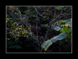 20111224-26 as Smart Object-1.jpg