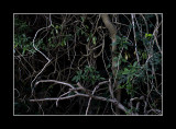 20111224-48 as Smart Object-1.jpg