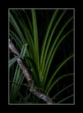20111224-50 as Smart Object-1.jpg