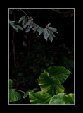 20111224-53 as Smart Object-1.jpg