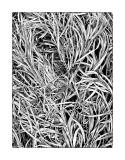 20111224-58 as Smart Object-1.jpg