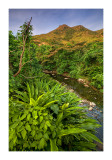 Tai Ho Wan, Lantau