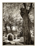 Coloane Village