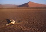 Namib drought victim