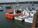 Boats St Andrews