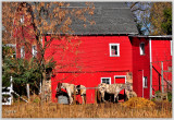 Red Barn