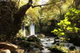 IMG_9512.jpg Banias