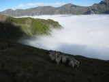 TOE 41 Col de Cote Belle.jpg