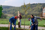 Kirschbaum_16_April_11_10.JPG